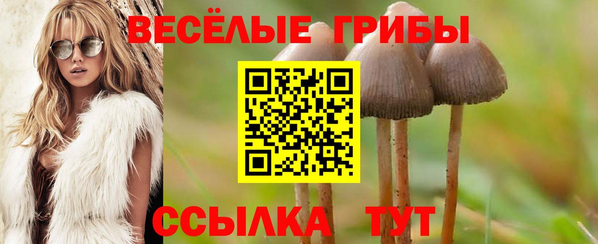 Галлюциногенные грибы мицелий  Вход с VPN  Чапаевск 